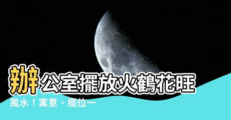 火鶴辦公室風水|【火鶴風水】「火鶴風水」秘訣必看！招財轉運、桃花。